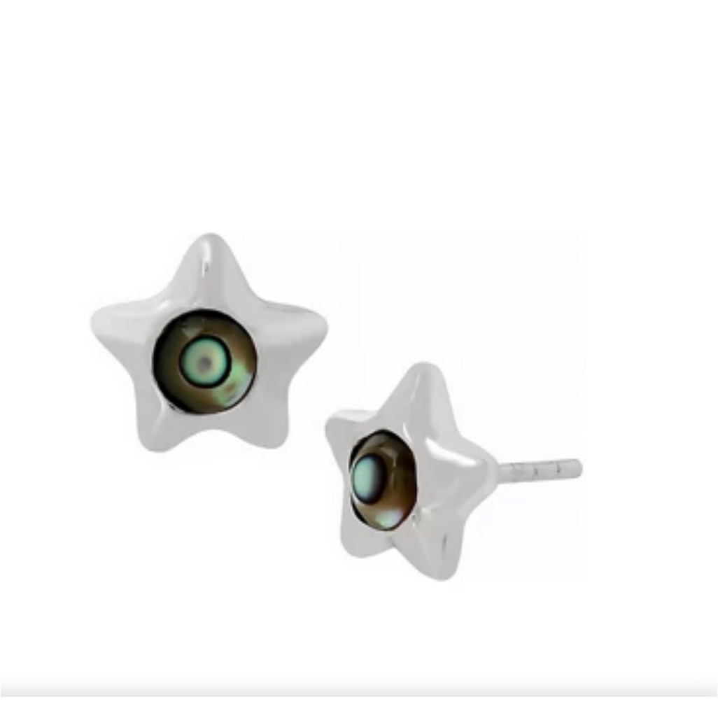 Hp Coach Star Abalone Stud Earrings Hp